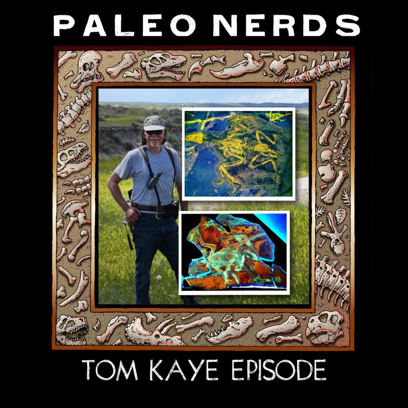 Episode #7: Using Lasers to Stare Into the Eyes of a Pterosaur with Tom Kaye