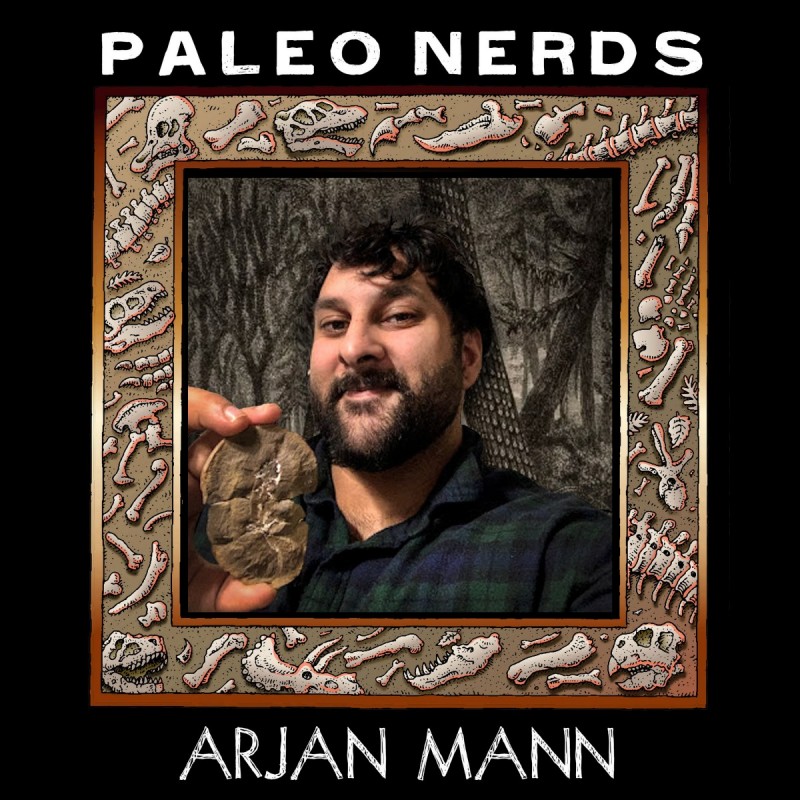 Ep #94 The Marvelous Mini-Monsters of Mazon Creek with Arjan Mann