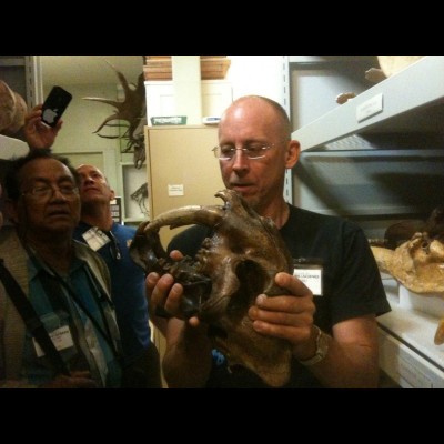 Dave holding the skull of saber-toothed "tiger" in the bone room at the Denver Museum of Nature and Science. Moacir Fortes looks on as Tom Fowler snaps a pic.