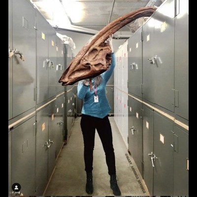 Amy holding a cast of a stunningly beautiful Parasaurolophus skull.