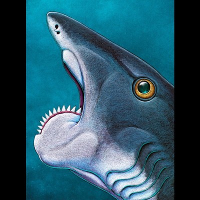 Ray&rsquo;s final version of Helicoprion.