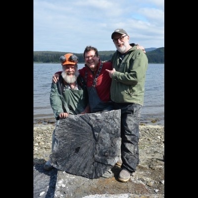 Forest service geologist Jim Baichtal, Kirk Johnson and Ray Troll with an Eocene-aged fossil palm frond in Southeast Alaska in 2014. You can see them prying up this treasure on camera in the second episode of Making North America on PBS.