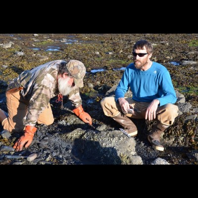 Jim spots an ichthyosaur bone at low tide.