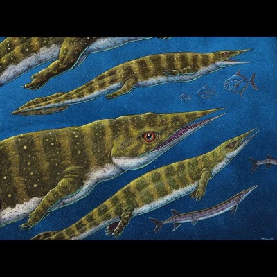 Ray&rsquo;s drawing of Gunakadeit joseeae, the Triassic thallatosaur found on an island in southeast Alaska.
