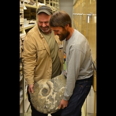 Pat and Kevin May wrestling with a giant cretaceous ammonite from the Matanuska mountains of Alaska.