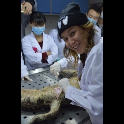 Dissecting a croc at IVPP