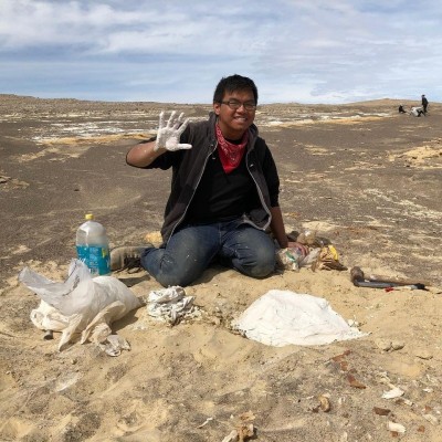 Jacketing a whale skull in the Peruvian desert for the Museo de Historia Natural in Lima.