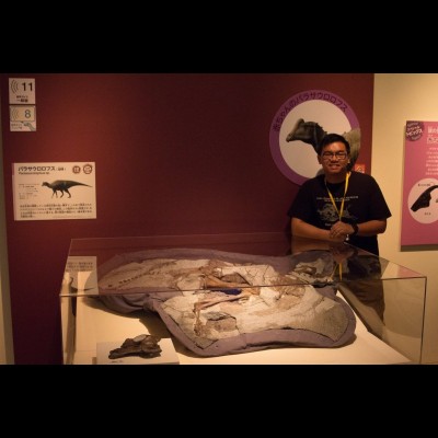 The Alf Museum's Parasaurolophus, Joe, travelled to Japan!&nbsp;Learn more here: https://www.youtube.com/watch?v=I9CV3l_nW-M