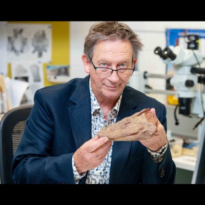 John's Tiktaalik skull cast. Photo by Brenton Edwards.