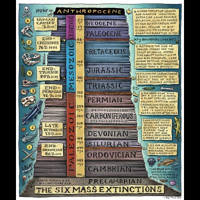 Peter says we&rsquo;re actually in the tenth mass extinction, not the sixth.