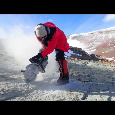 In Antarctica, it's too cold for plaster to set.&nbsp; To remove fossils from the ground while keeping them safe for transport, Christian's team sawed around fossils with a rock saw.
Photo by Roger Smith.