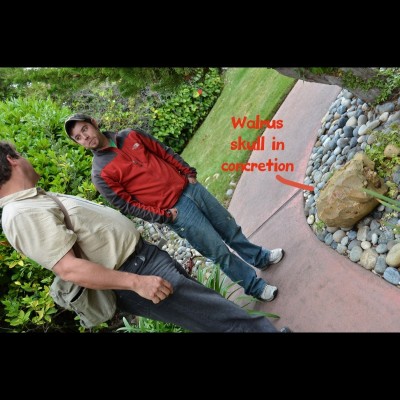 Kirk Johnson and Ray met Bobby in 2011 at his parents house. Note the walrus fossil by their front door.