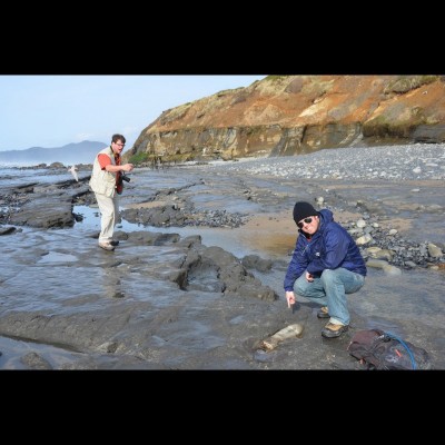 Bobby spots a fossil whale bone in the rocks along the Oregon coast, Clearly Kirk was too late.