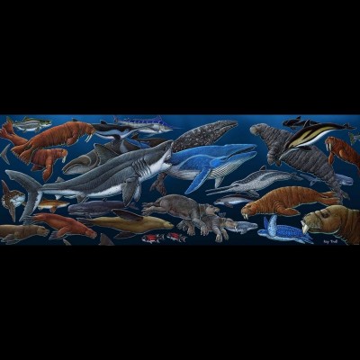 Ray&rsquo;s drawing of North Pacific marine life in the Miocene. Bobby Boessenecker was the scientific advisor for this image.