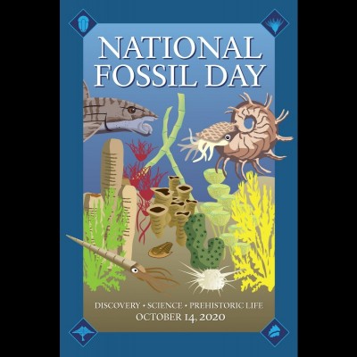 The official 2020 logo for National Fossil Day depicting a 260 million-year-old Permian reef from the national parks Southwest Texas and Southeast New Mexico. Note the single gill opening for Helicoprion. (NPS image)