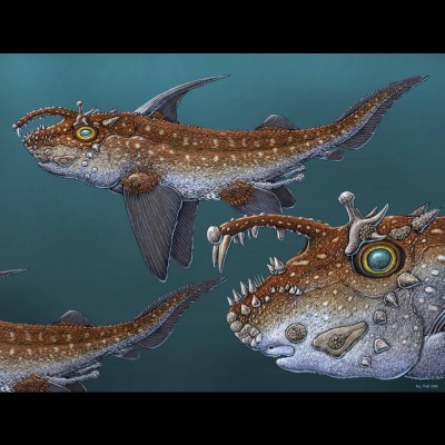 Ray&rsquo;s reconstruction of &ldquo;Don Juan ratfish&rdquo; made with JP&rsquo;s notes. JP's research on this incredible ancient ratfish is still ongoing. It was found at the Kinney Quarry in New Mexico.&nbsp;&nbsp;