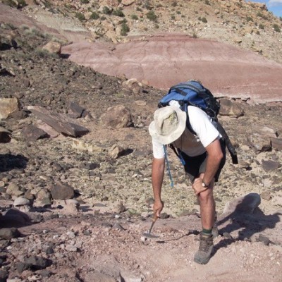 Luis treks through Gnatalie, the sauropod site in SE Utah.