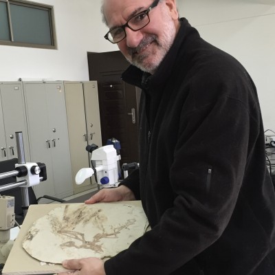 Luis in China holding a slab containing the holotype of Chiappeavis, an Early Cretaceous bird genus named to honor Luis' extensive research on Mesozoic birds.