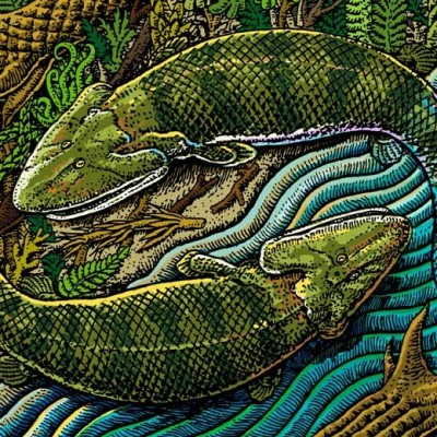 Ray Troll&rsquo;s Tiktaalik inspired artwork,with digital color by Karen Lybrand.&nbsp;