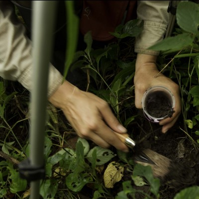 Soil sampling in the Altiplano near Mt Sahama, Bolivia