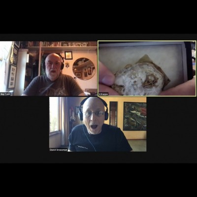 Luis displays a dinosaur embryo while talking with Dave and Ray.