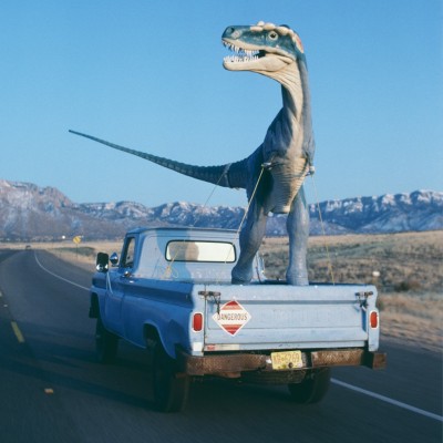 A lovely Albertosaurus in a pickup truck. &copy; Louie Psihoyos 1994