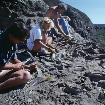 Phil Currie and crew working a bonebed in Dinosaur Provincial Park in Alberta, Canada. &copy; Louie Psihoyos 1994
