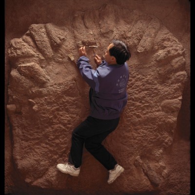 Louie's beautuful photo of a dinosaur egg nest being excavated in China. &copy; Louie Psihoyos 1994.&nbsp;