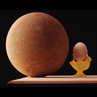 A beautifil dinosaur egg compared to a chicken egg. &copy; Louie Psihoyos 1994