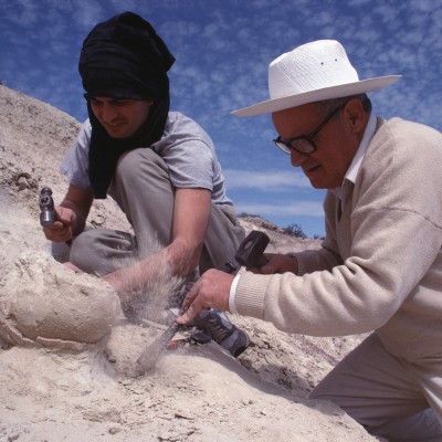 Jose Bonarparte digging out a massive dinosaur egg found by Louie by Louie and Jon Knoebber in Ptagonia. &copy; Louie Psihoyos 1994.&nbsp;
