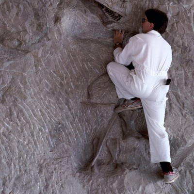 A quarry worker patiently chiseling out a Camarasaurus skull in Utah's Dinosaur Natl Monument. &copy; Louie Psihoyos 1994&nbsp;