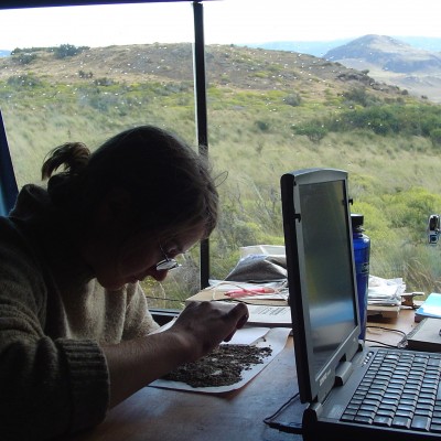 Emily's work as a paleoecologist has taken her all over the world!&nbsp; Here she is sorting microfossils from a Pleistocene cave site in Patagonia, Chile.