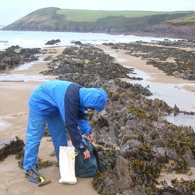 Connie comparing Devonian Old Red Sandstone along the Pembrokeshire coast in Wales to her work in Southeast Alaska