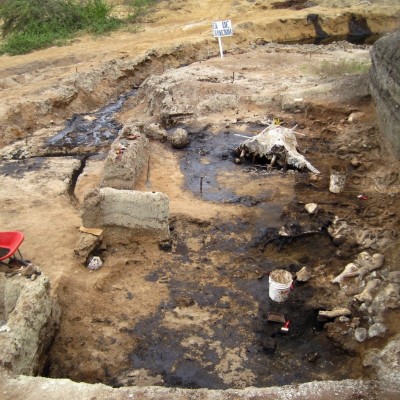 The Tanque Loma asphaltic bone bed, home to Eremotherium in Ecuador.