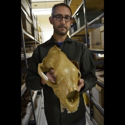 Grant and an Arctodus skull, when Ray visited in 2012.