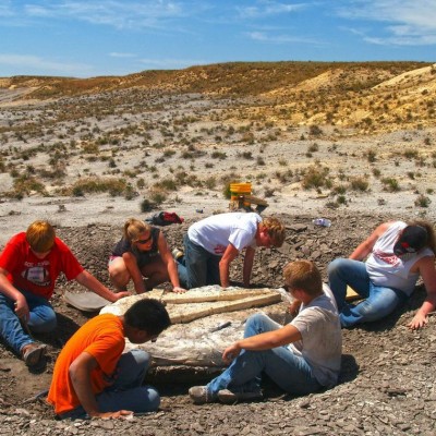 Digging up a mosasaur fossil from the Kansas chalk with a group of local high school students.