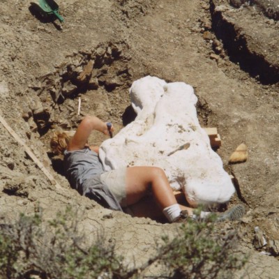 Elbows deep in a T.rex on Laura's first dinosaur dig! In the summer of 2001, Laura went digging with the Museum of the Rockies in the Hell Creek Formation of Montana.