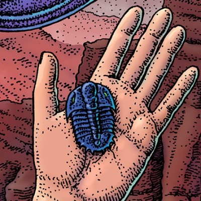 A trilobite in hand is a thing of beauty, in touch with the ancient history of the earth.