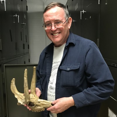 Don with the type specimen of the deer-like Procranioceras skinneri