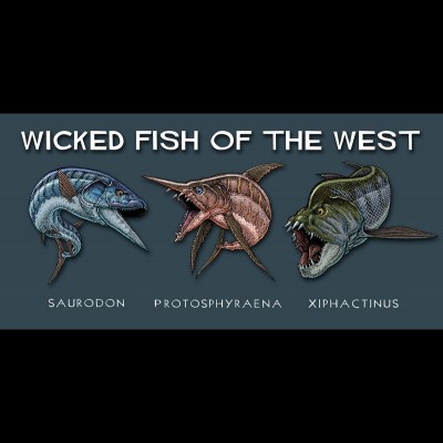 Three very toothy Wicked Fish of the west: Saurodon, Protosphyraena and Xiphactinus.&nbsp;