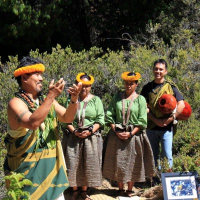 Kiwikiu, kiu, kiu, kiwikiu e! Nuku kiwi ʻaki mau pouhananuʻu... Kiwikiu, kiu, kiu, Kiwikiu e!
Sam at the formal presentation of the name chant for the Kiwikiu, formerly known as the Maui Parrotbill. The chant means "Curved stout bill ever snapping"