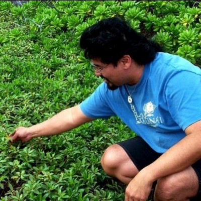 The naio papa (mat-forming naio). Sam was amazed and to see it for the first time in its habitat at Kamilo, in Kaʻū, Hawaiʻi Island. Now it's available at Home Depot!&nbsp;