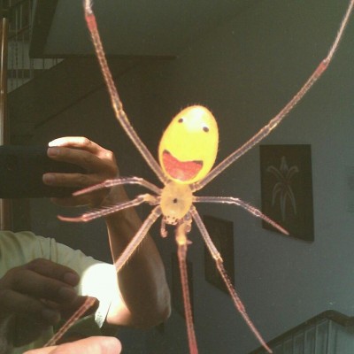 Sam did his PhD on the Hawaiian Happy Face Spider.