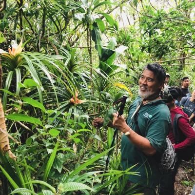 Sam leading the Mānoa Cliff Native Forest Restoration hike and found 'le'ie in bloom.