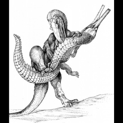 Bob's drawing of an Allosaurus chomping down on a Steneosaurus, a Jurassic crocodile.&nbsp;