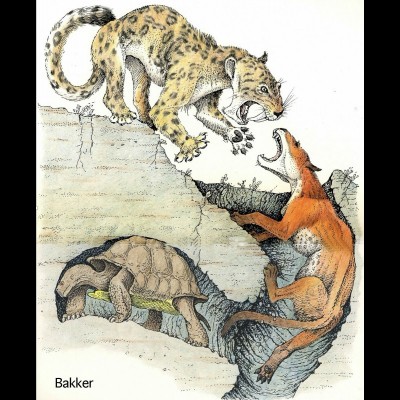 An Oligocene burrow drawing, with a tortoise an Oreodon and a hungry Hoplophonius