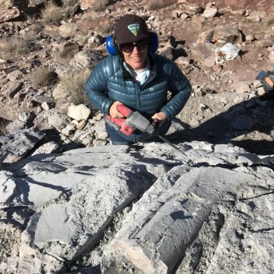 Working to salvage an Early Cretaceous sauropod femur that was being illegally poached on Bureau of Land Management lands north of Moab, Utah.&nbsp;