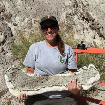 This Stegosaurus femur was collected from the historic Carnegie Quarry in the summer of 2019 by ReBecca. It was located on a cliff 30 feet above the ground and was excavated by standing in a cherry picker.&nbsp;