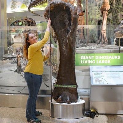 ReBecca measuring the Potter Creek Brachiosaurus humerus at the National Museum of Natural History in 2020.&nbsp;