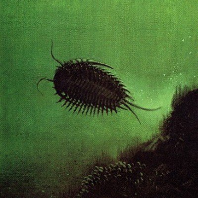 A trilobite swimming in the ancient seas of Antarctica. This is one of Ray's favorite paintings done by Bill.